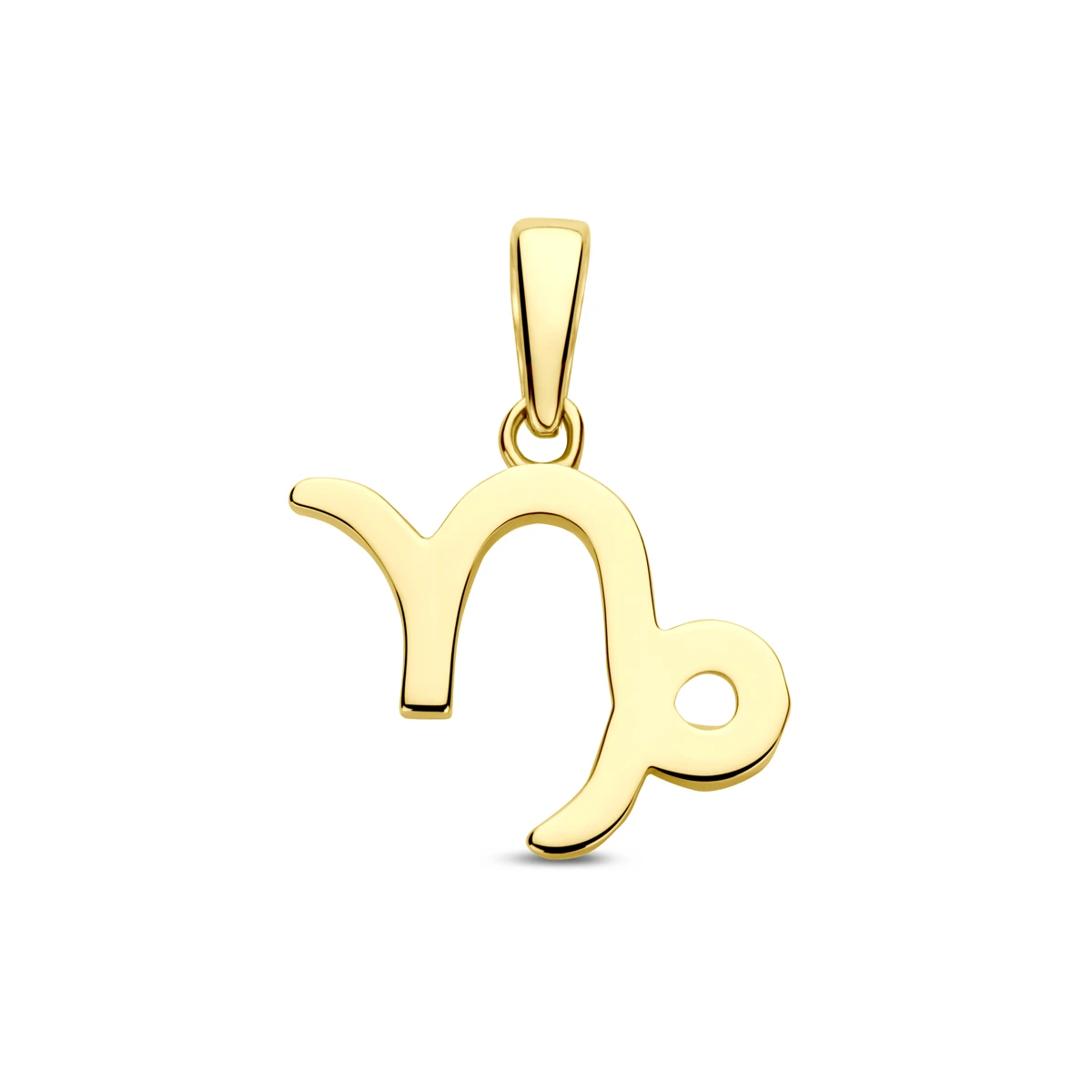 hanger sterrenbeeld 14K geelgoud