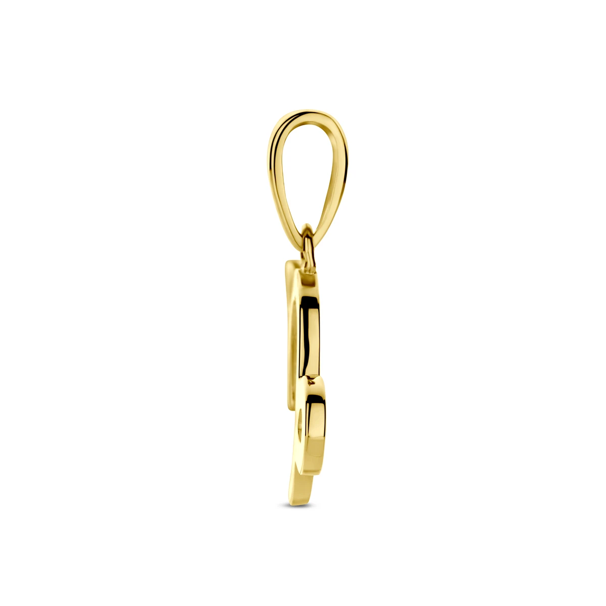 hanger sterrenbeeld 14K geelgoud