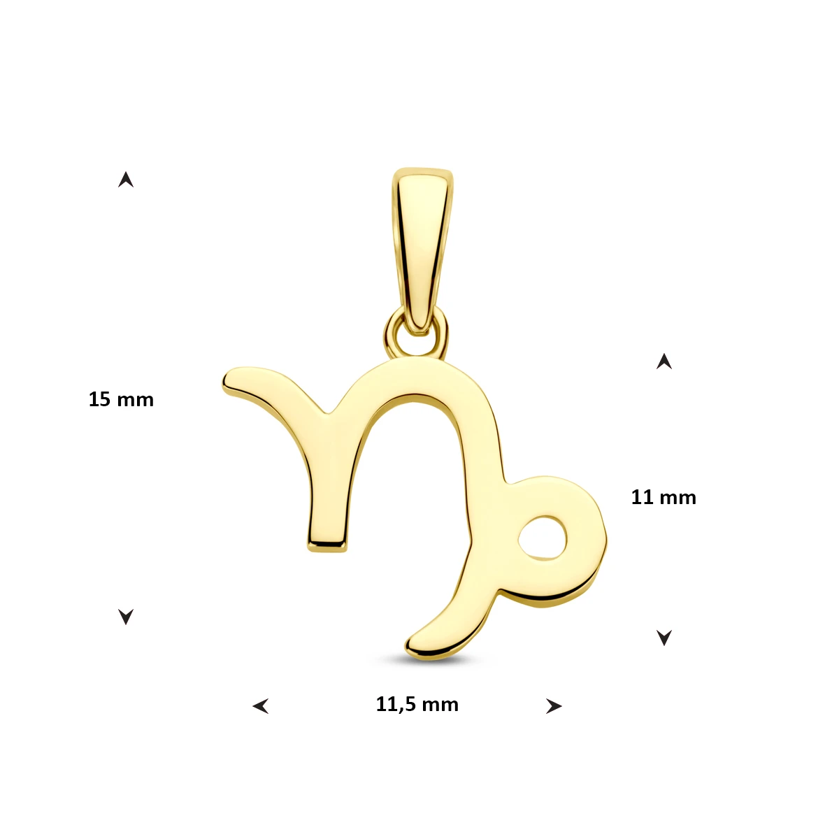 hanger sterrenbeeld 14K geelgoud