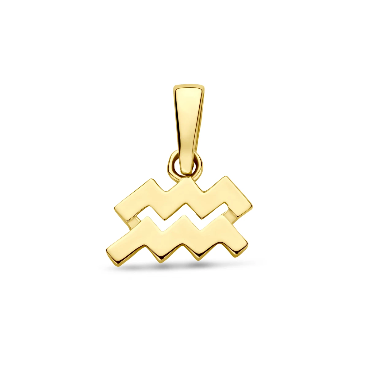 hanger sterrenbeeld 14K geelgoud