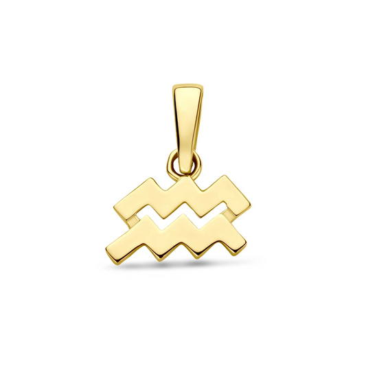 hanger sterrenbeeld 14K geelgoud