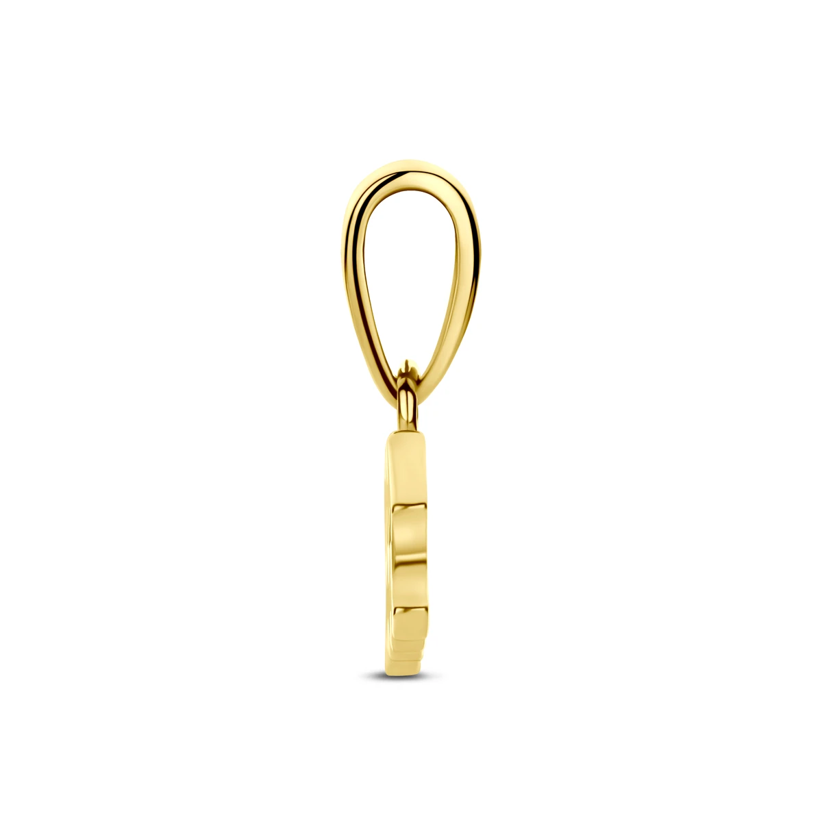 hanger sterrenbeeld 14K geelgoud