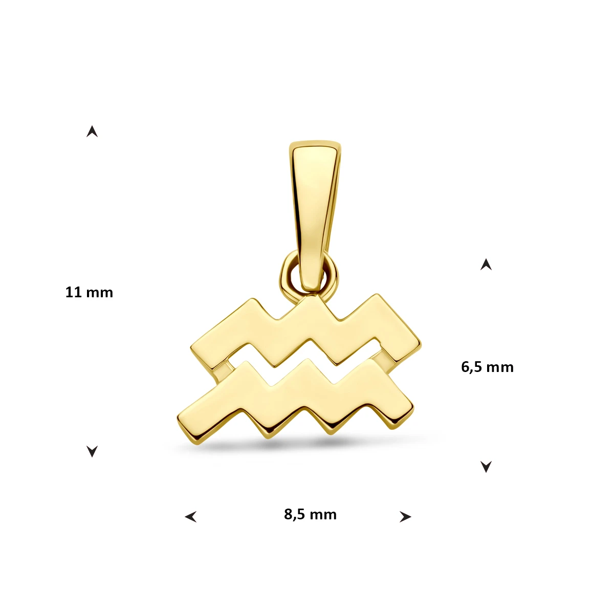 hanger sterrenbeeld 14K geelgoud