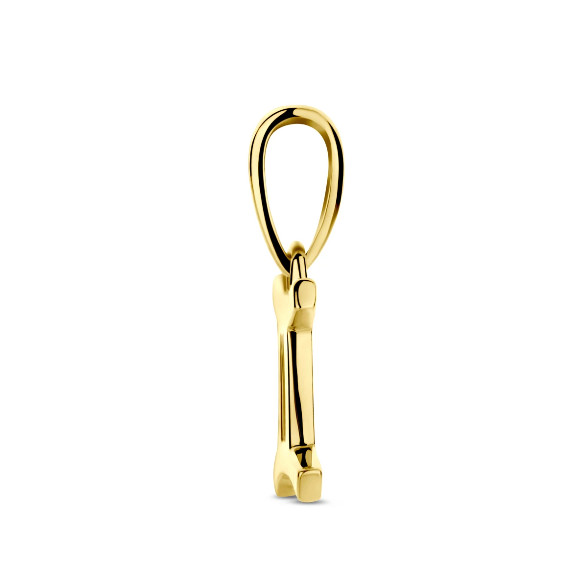 hanger sterrenbeeld 14K geelgoud