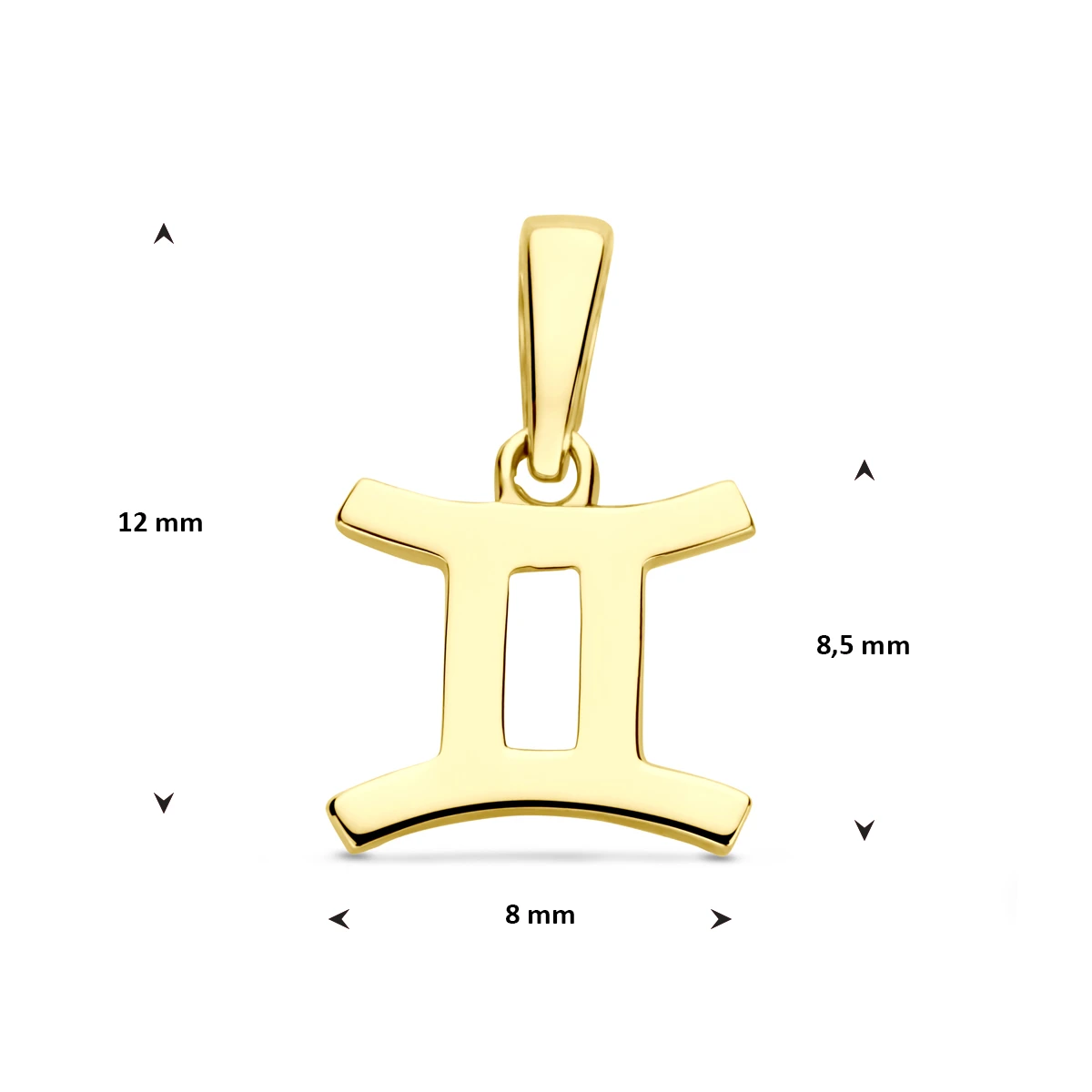 hanger sterrenbeeld 14K geelgoud