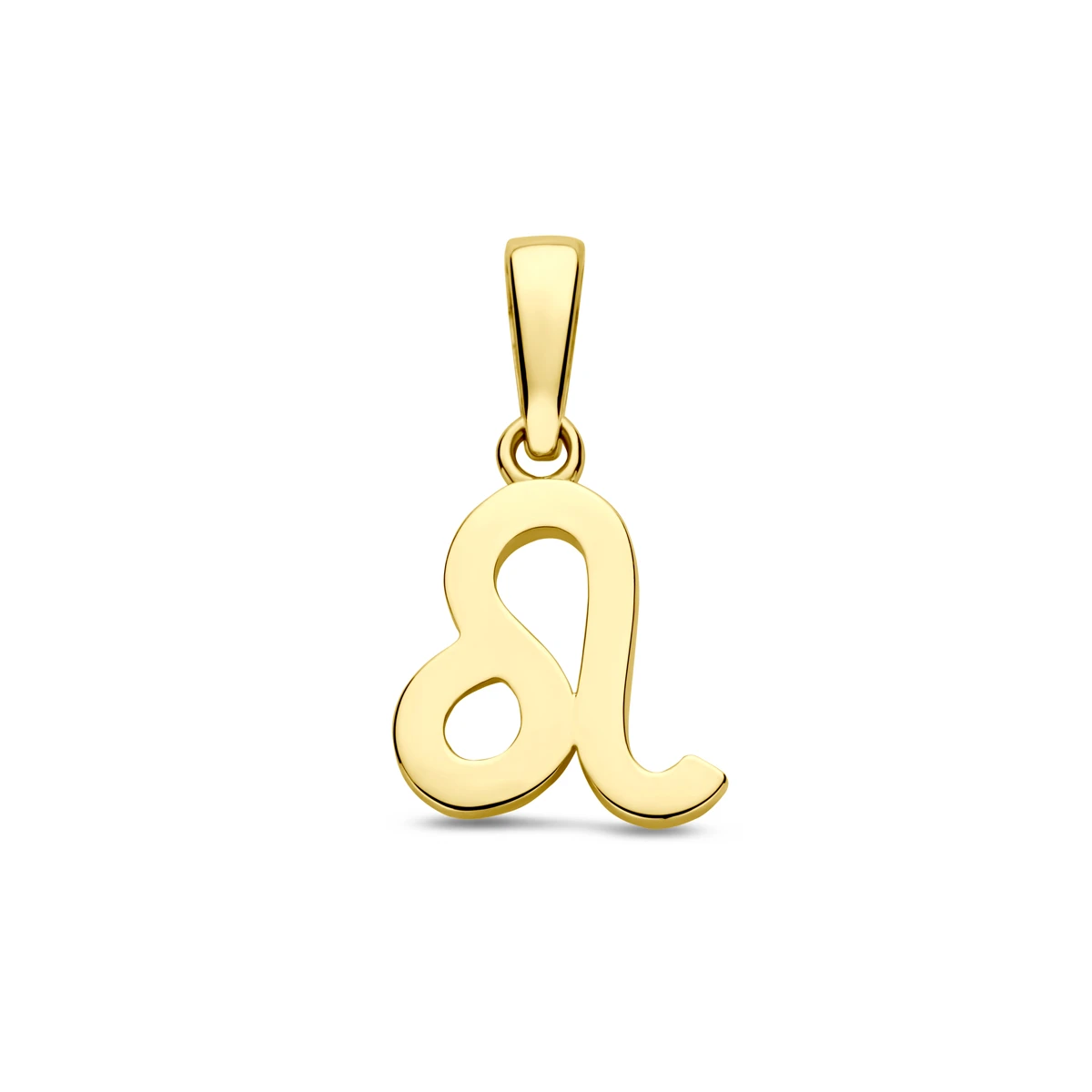 hanger sterrenbeeld 14K geelgoud