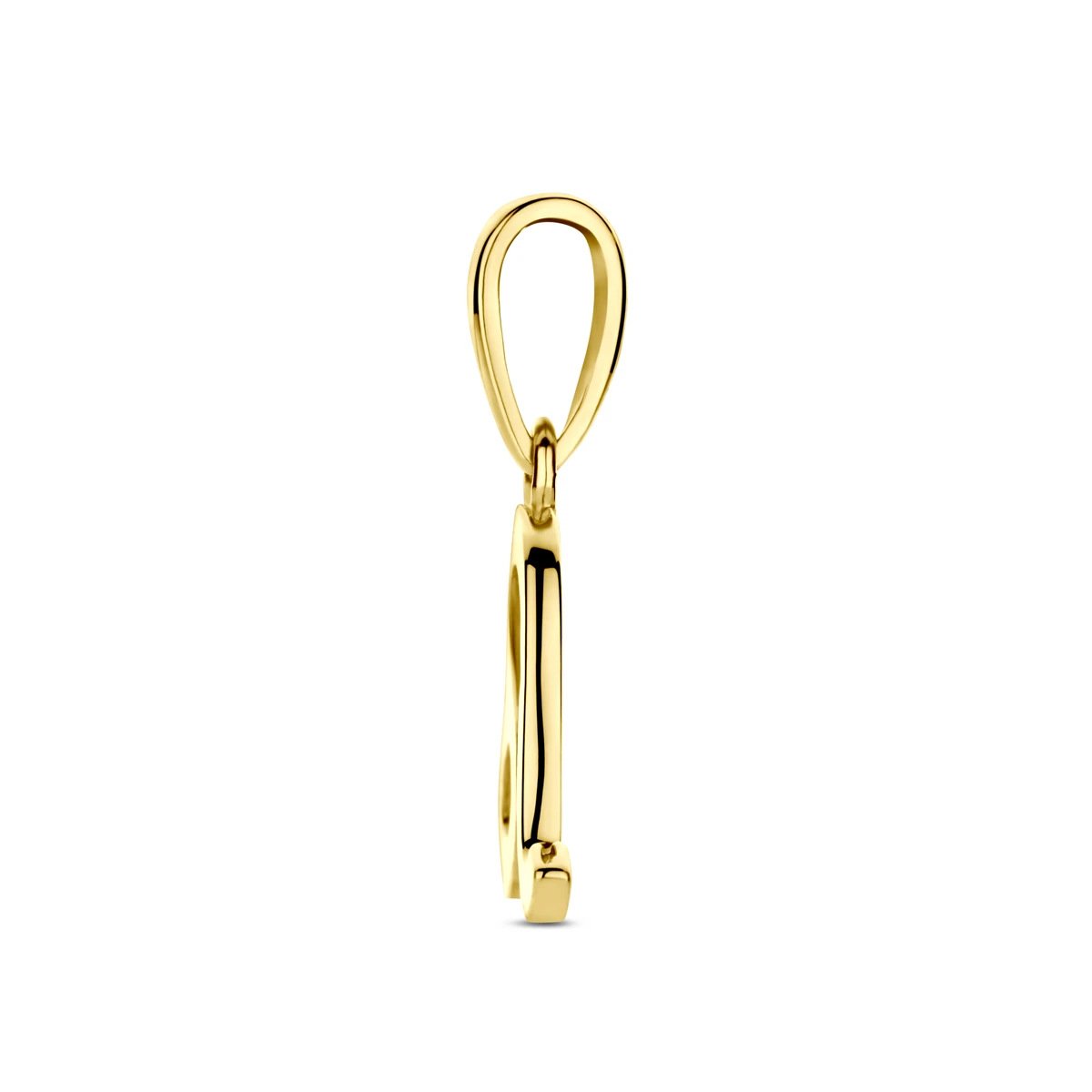 hanger sterrenbeeld 14K geelgoud