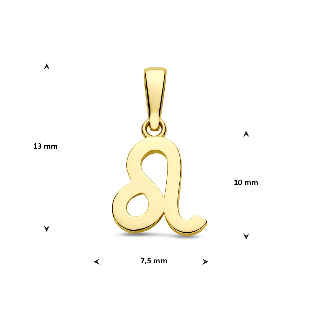 hanger sterrenbeeld 14K geelgoud
