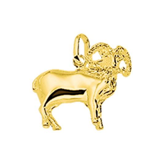 hanger sterrenbeeld 14K geelgoud