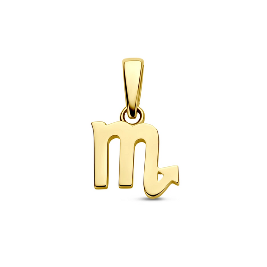 hanger sterrenbeeld 14K geelgoud
