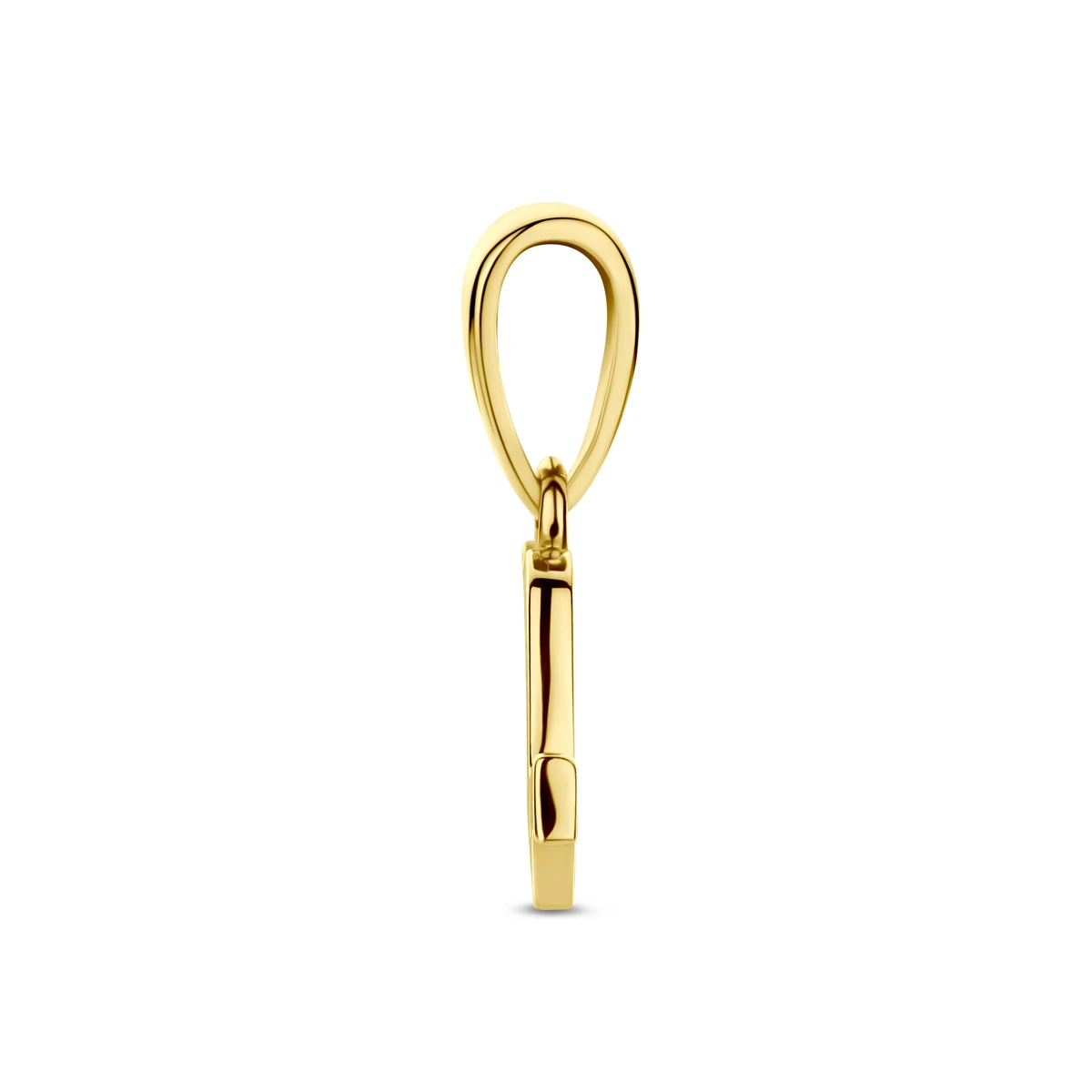 hanger sterrenbeeld 14K geelgoud