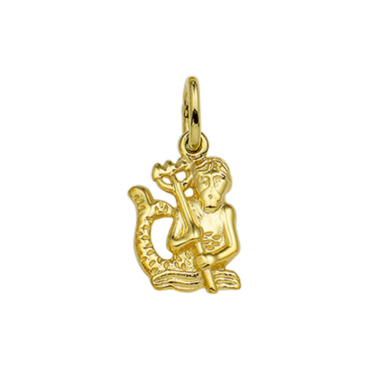 hanger sterrenbeeld 14K geelgoud