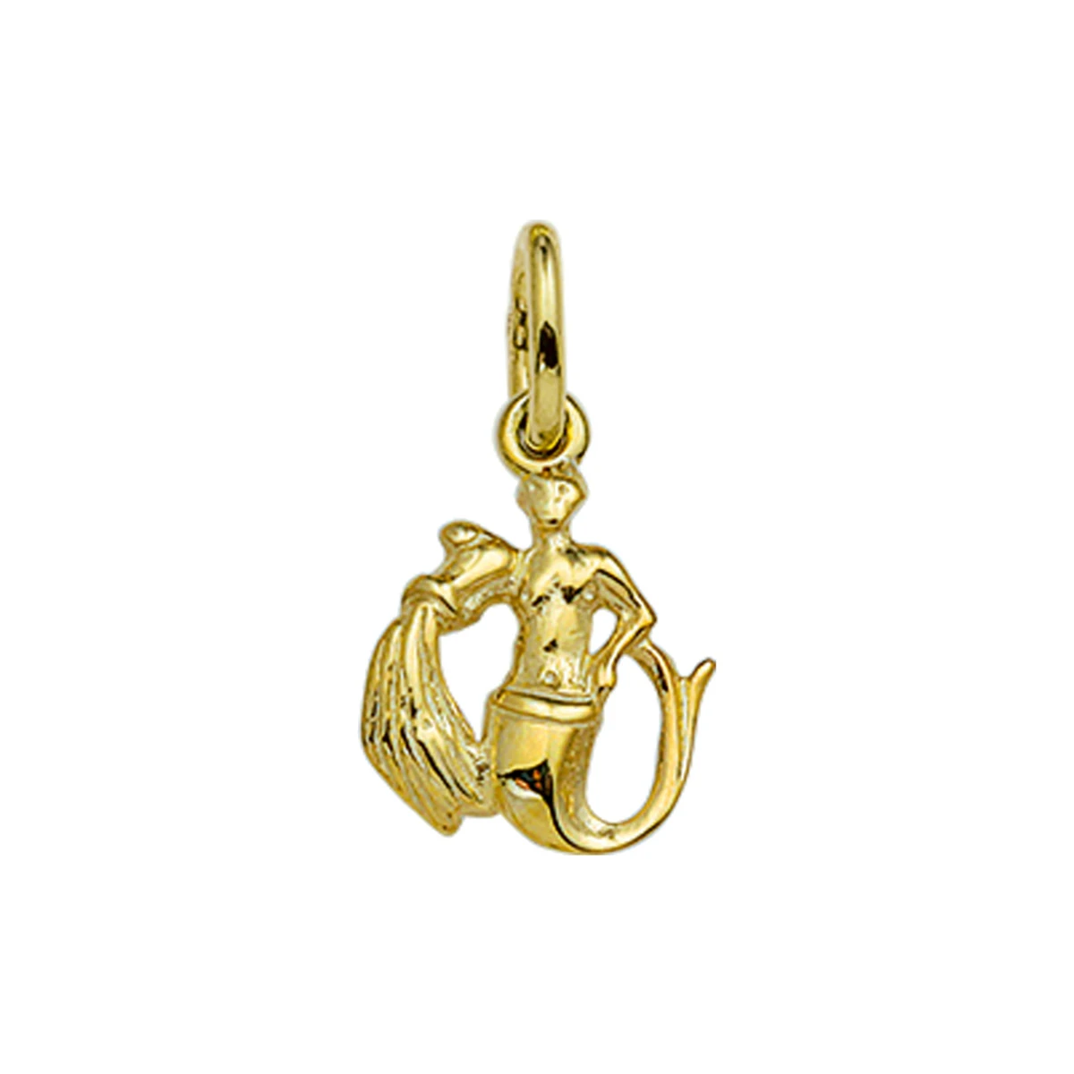 hanger sterrenbeeld 14K geelgoud