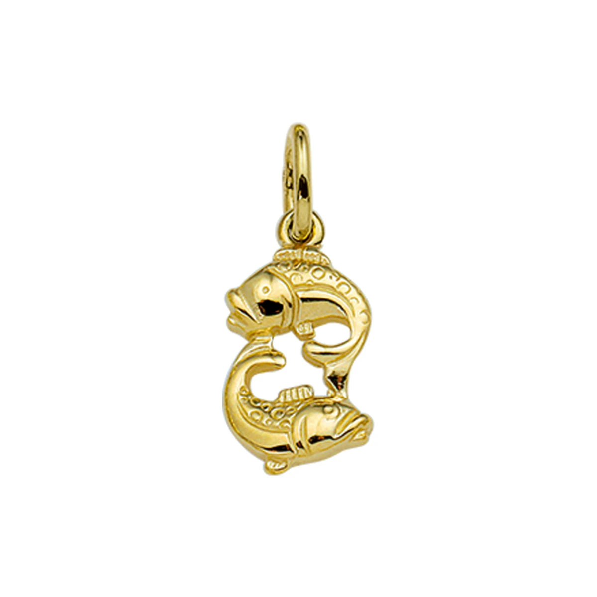hanger sterrenbeeld 14K geelgoud