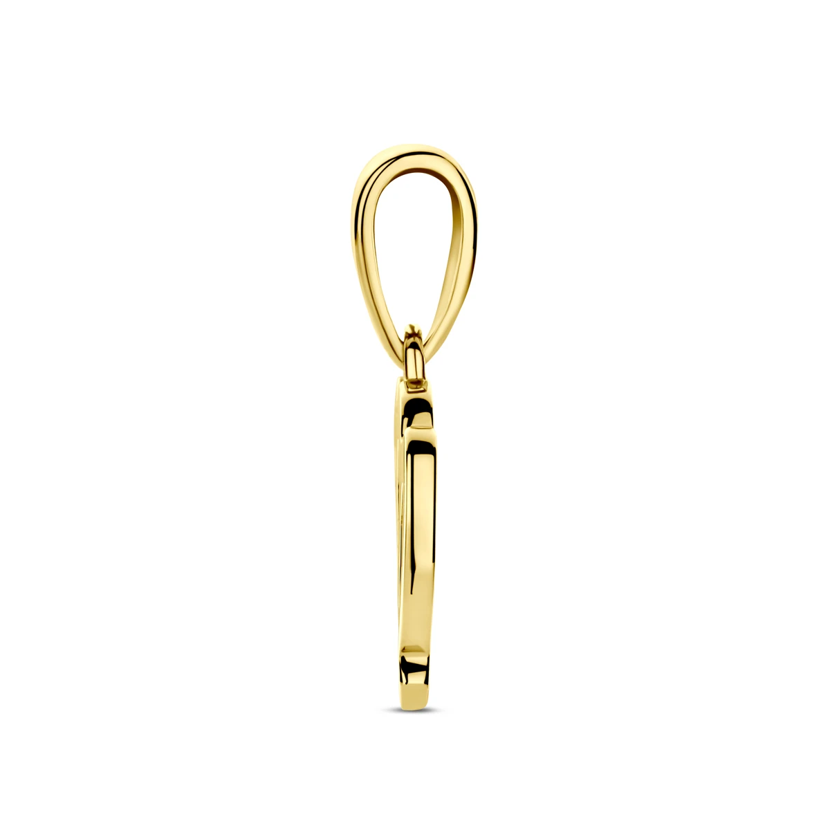 hanger sterrenbeeld 14K geelgoud