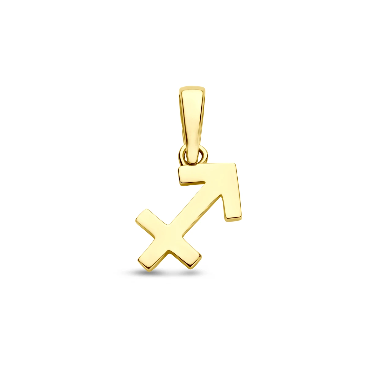 hanger sterrenbeeld 14K geelgoud