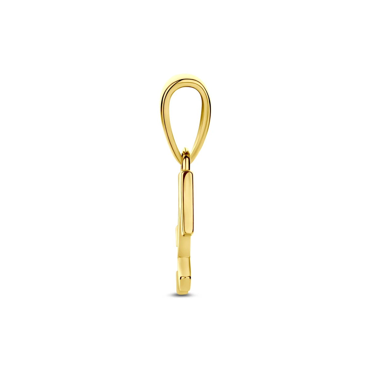 hanger sterrenbeeld 14K geelgoud