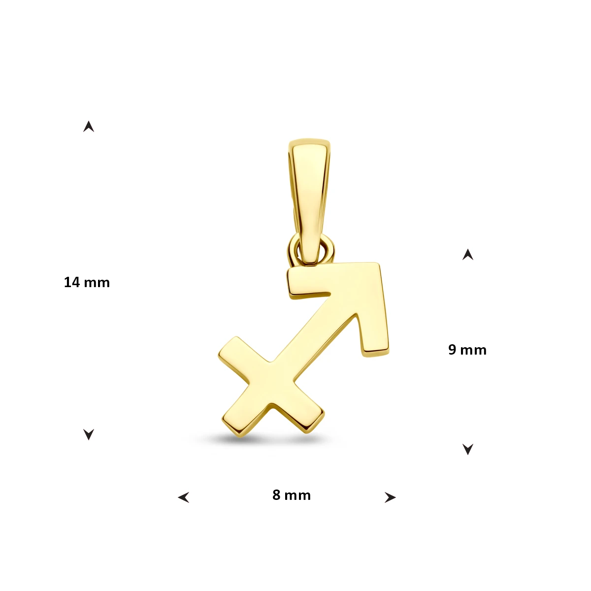hanger sterrenbeeld 14K geelgoud