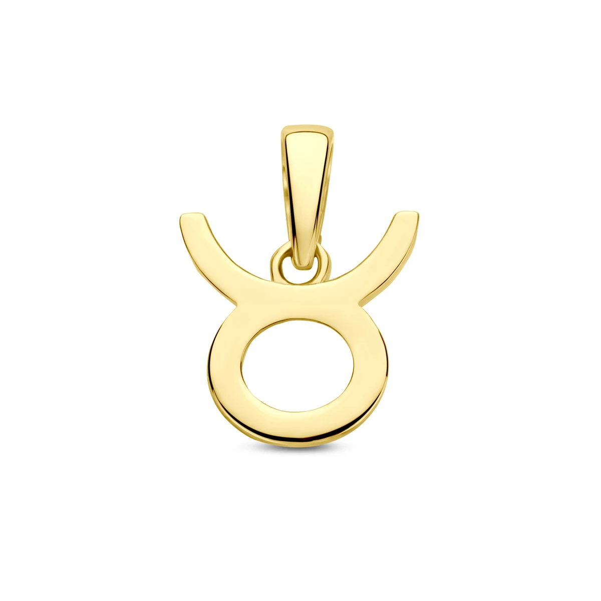 hanger sterrenbeeld 14K geelgoud