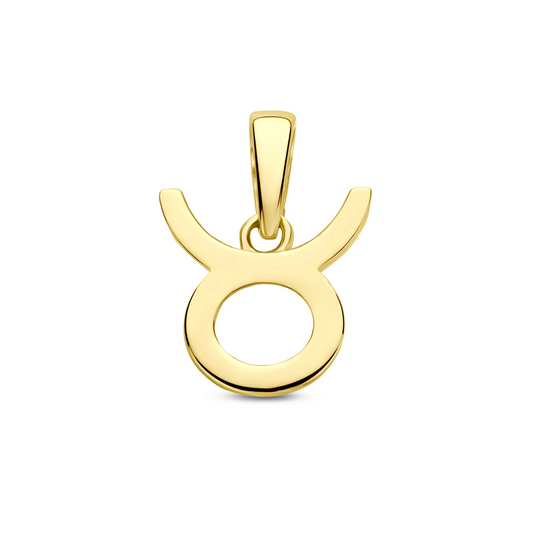 hanger sterrenbeeld 14K geelgoud
