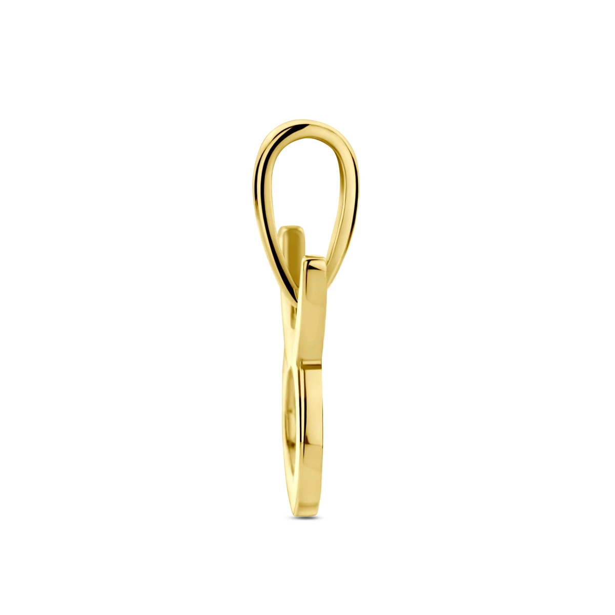 hanger sterrenbeeld 14K geelgoud