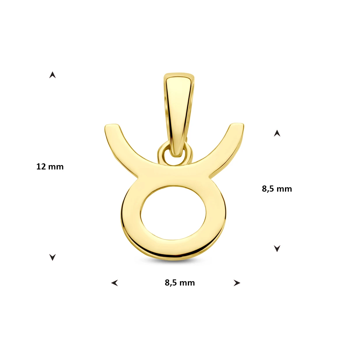 hanger sterrenbeeld 14K geelgoud