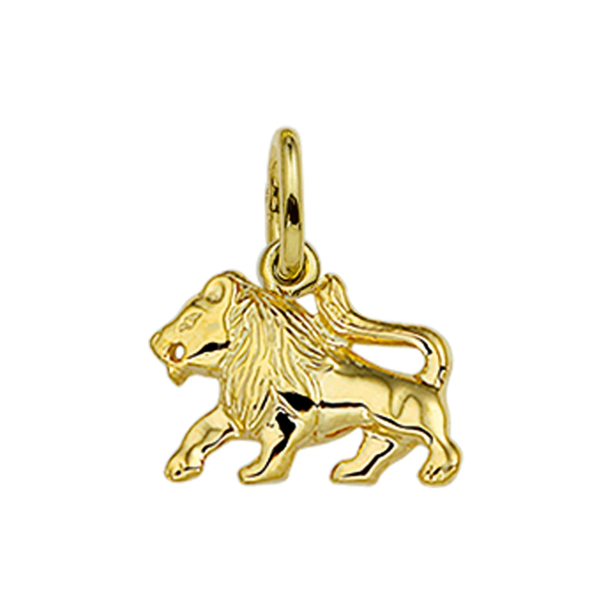 hanger sterrenbeeld 14K geelgoud