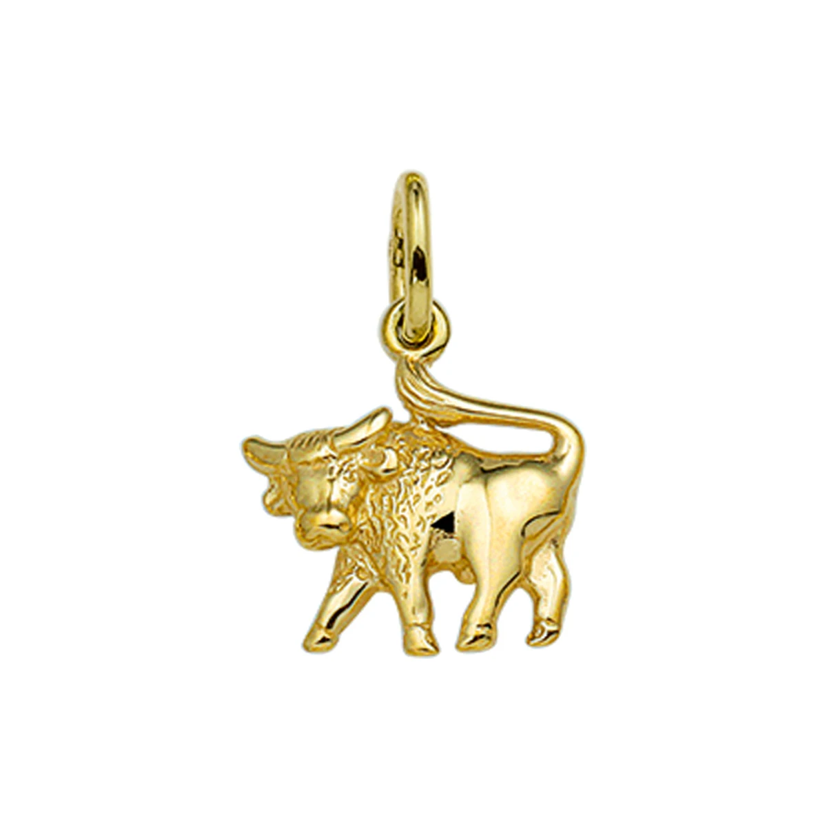 hanger sterrenbeeld 14K geelgoud