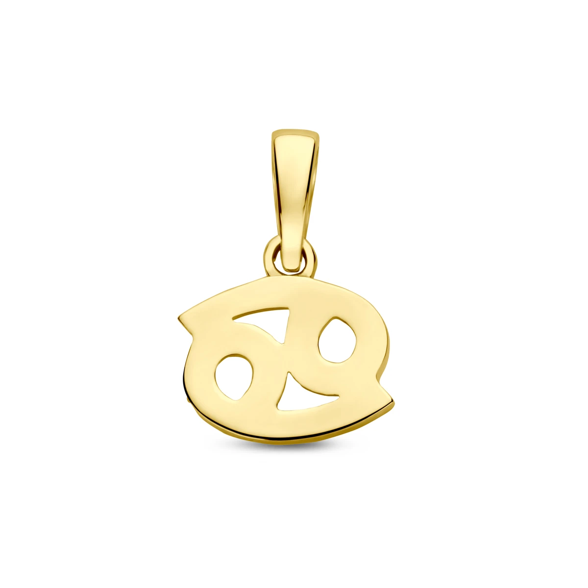 hanger sterrenbeeld 14K geelgoud