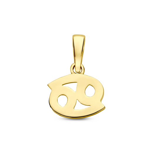 hanger sterrenbeeld 14K geelgoud