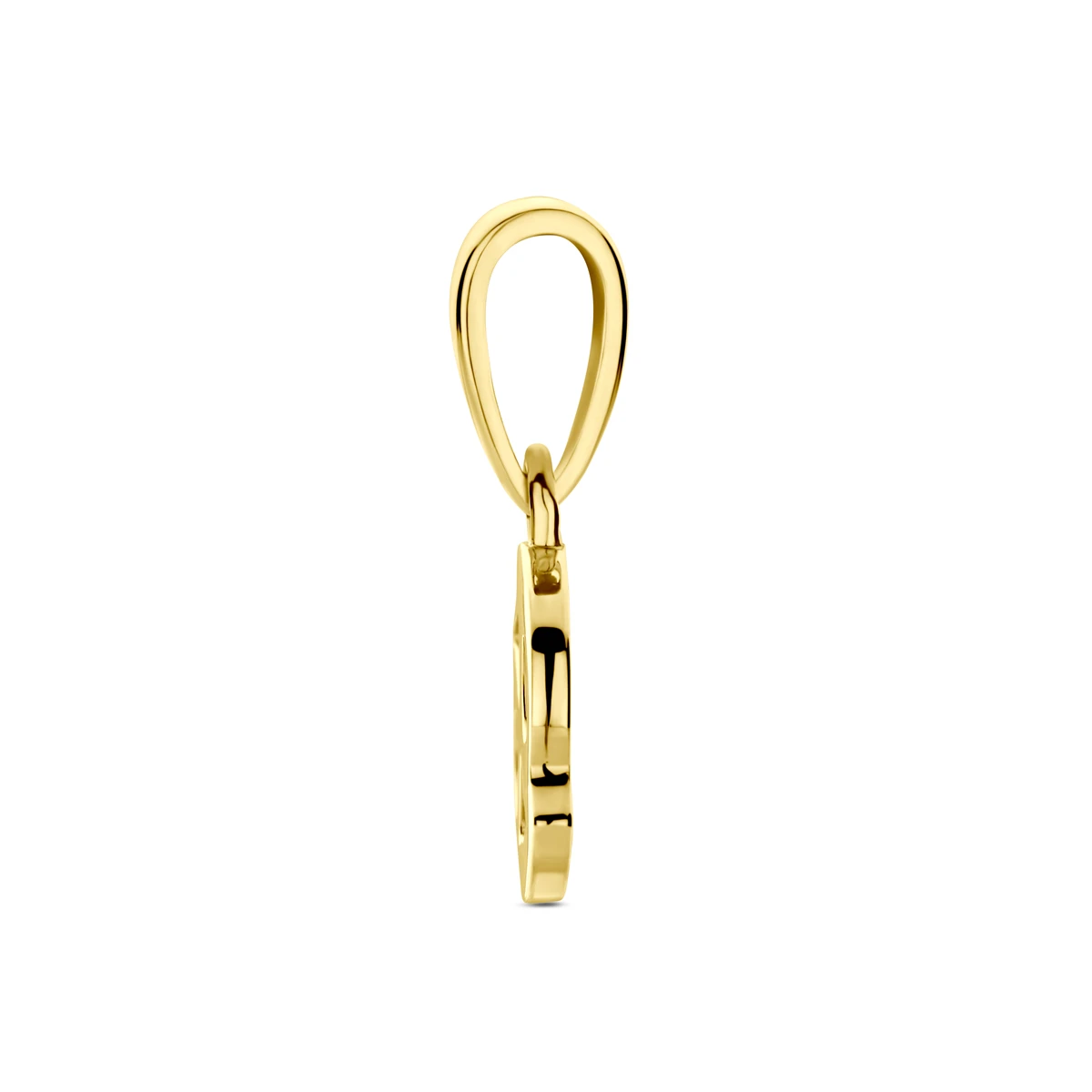 hanger sterrenbeeld 14K geelgoud