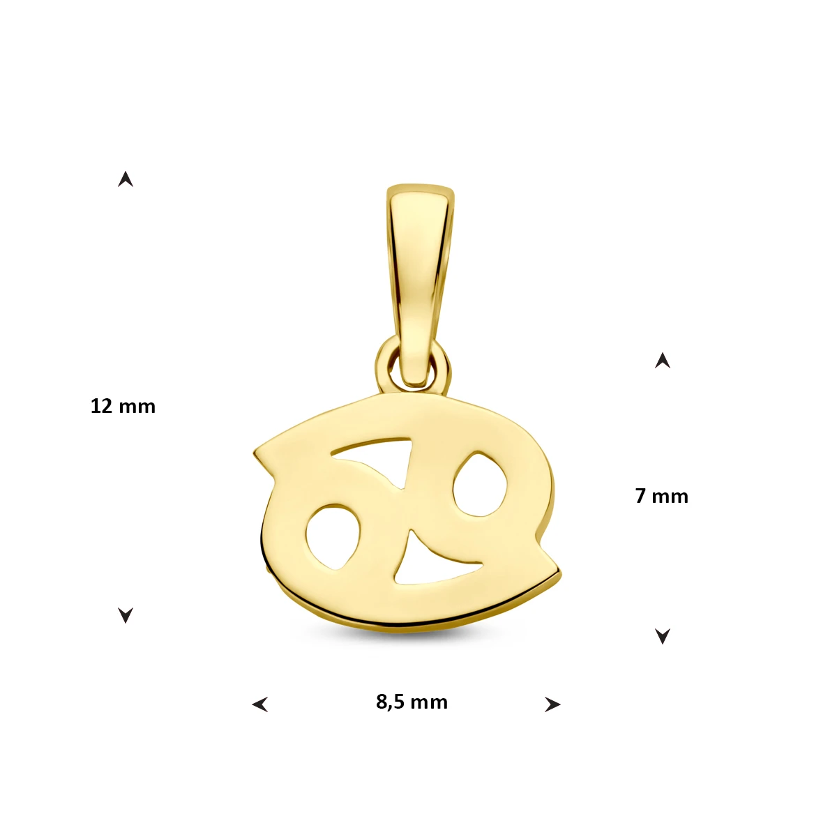 hanger sterrenbeeld 14K geelgoud