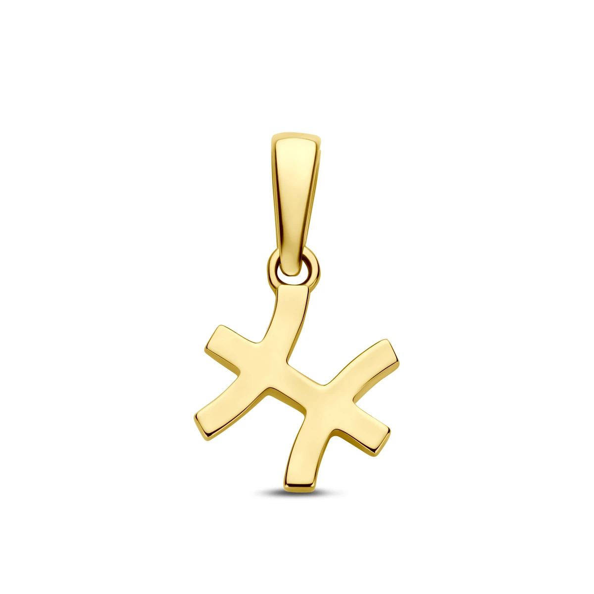 hanger sterrenbeeld 14K geelgoud