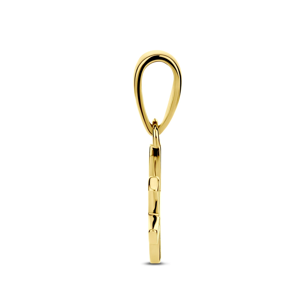 hanger sterrenbeeld 14K geelgoud