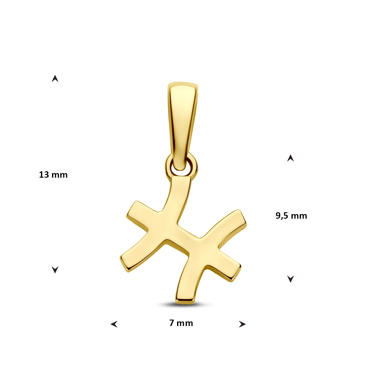 hanger sterrenbeeld 14K geelgoud