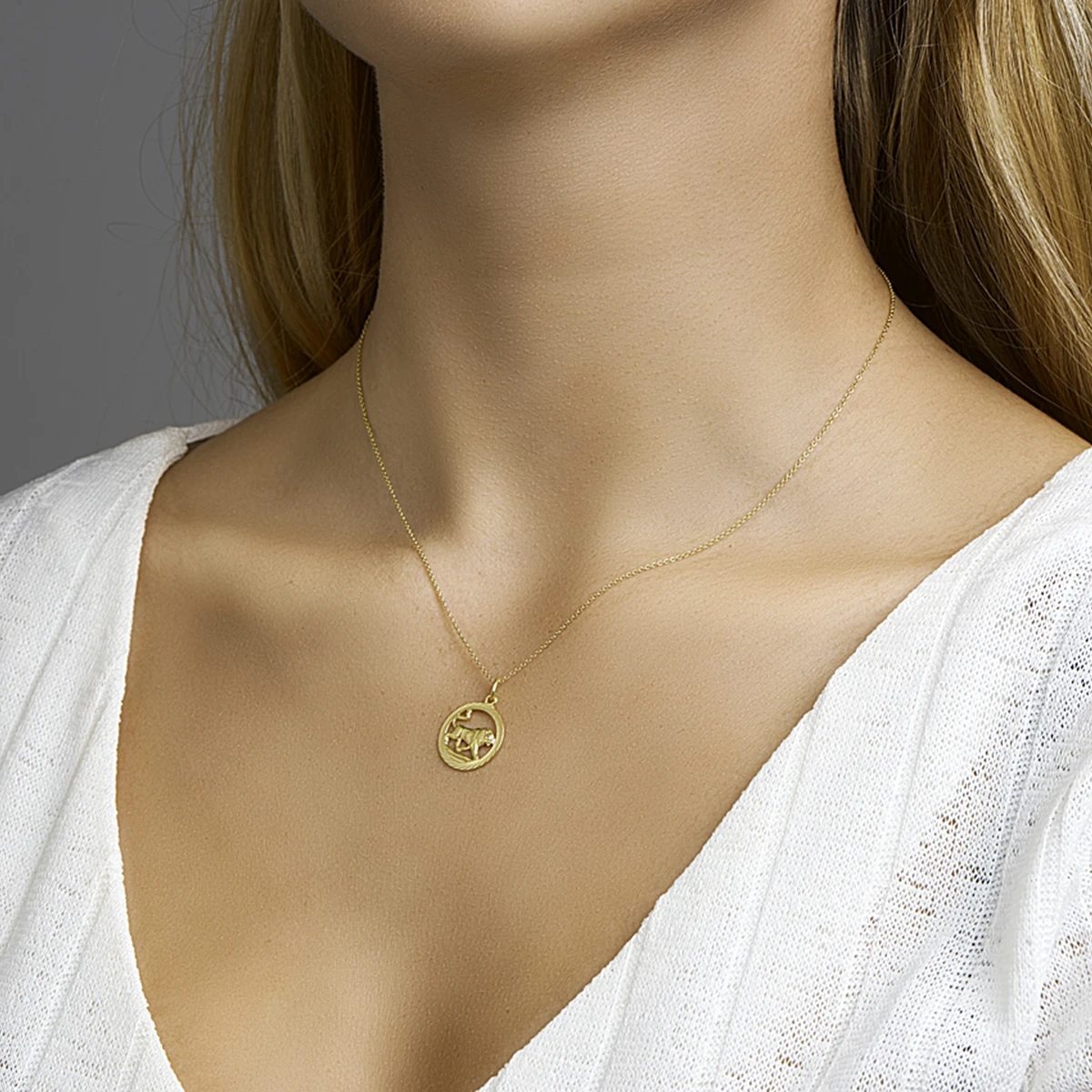 hanger sterrenbeeld gediamanteerd 14K geelgoud