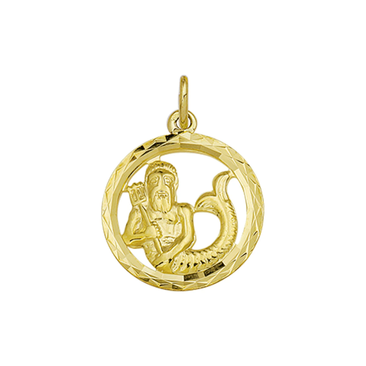hanger sterrenbeeld gediamanteerd 14K geelgoud