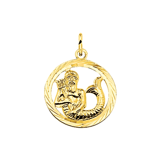 hanger sterrenbeeld gediamanteerd 14K geelgoud
