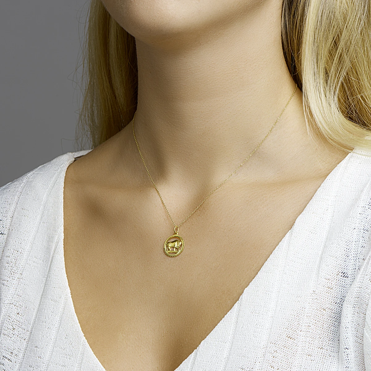 hanger sterrenbeeld gediamanteerd 16 mm 14K geelgoud