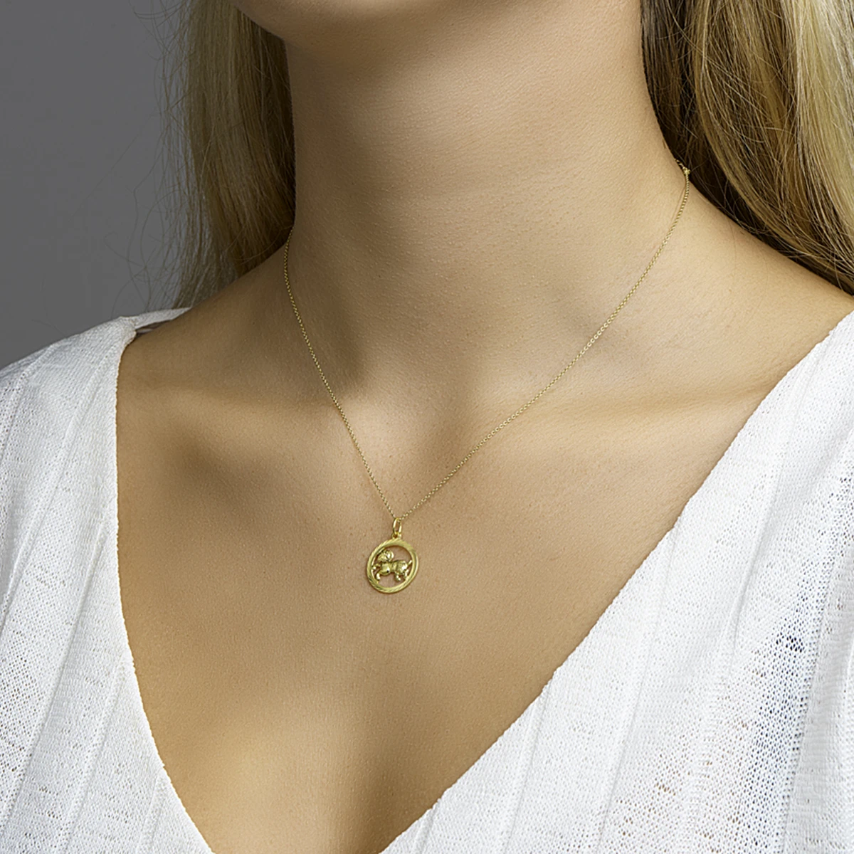 hanger sterrenbeeld gediamanteerd 14K geelgoud