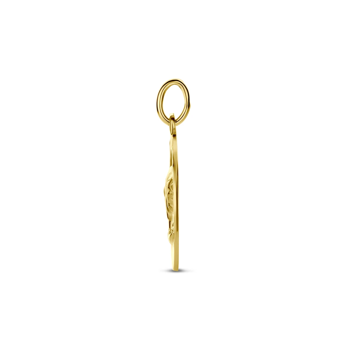 hanger sterrenbeeld gediamanteerd 16 mm 14K geelgoud