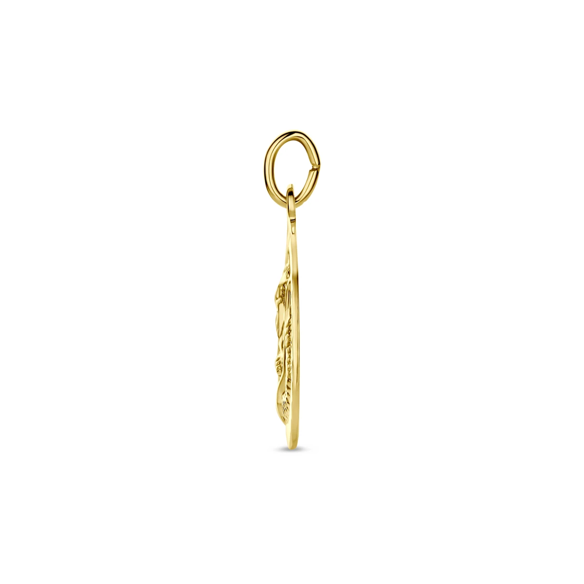 hanger sterrenbeeld gediamanteerd 16 mm 14K geelgoud
