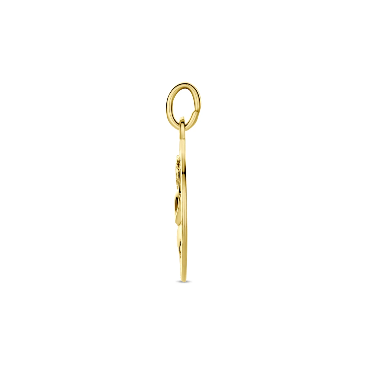 hanger sterrenbeeld gediamanteerd 16 mm 14K geelgoud