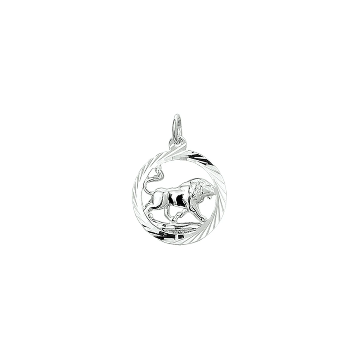 hanger sterrenbeeld gediamanteerd zilver gerhodineerd
