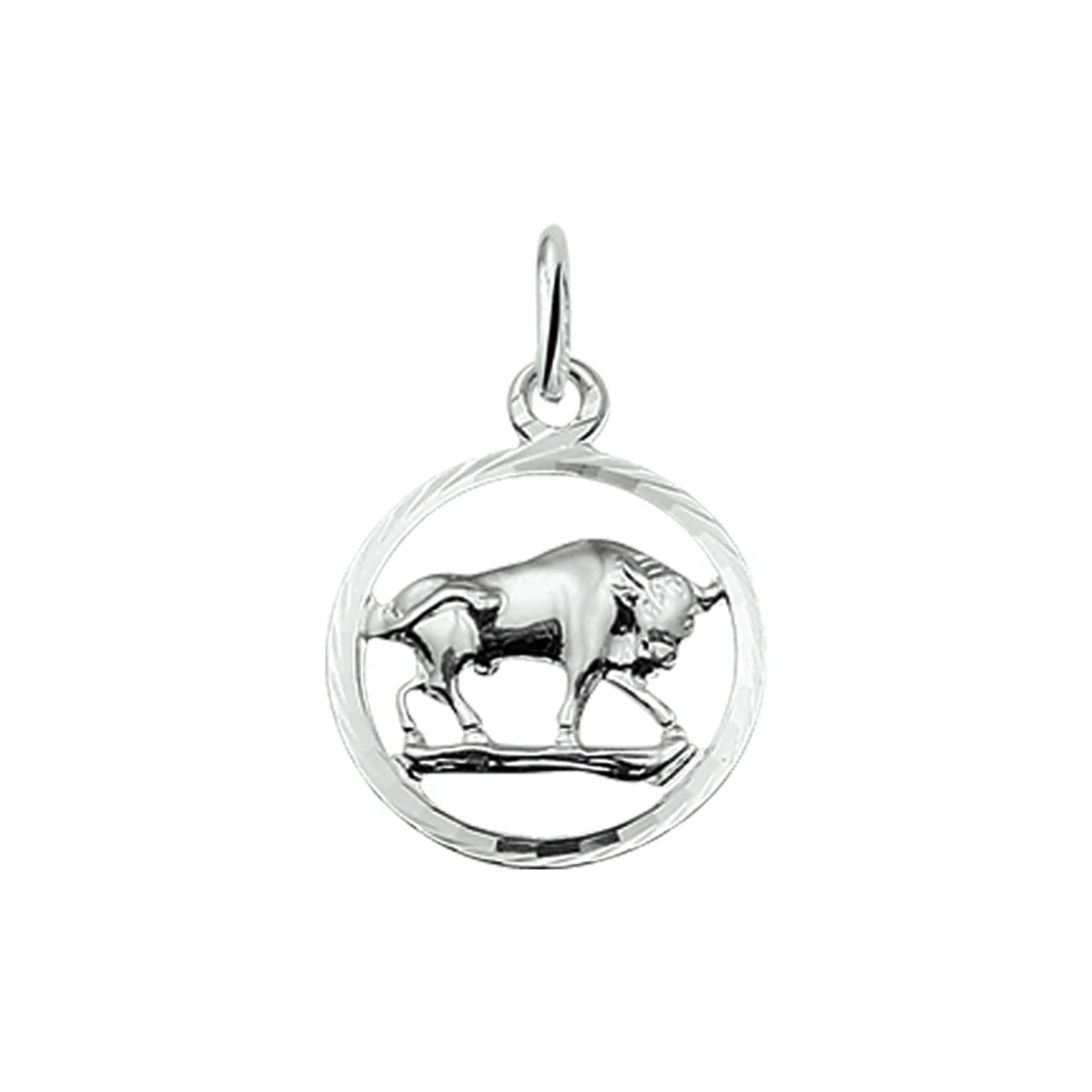 hanger sterrenbeeld gediamanteerd zilver wit