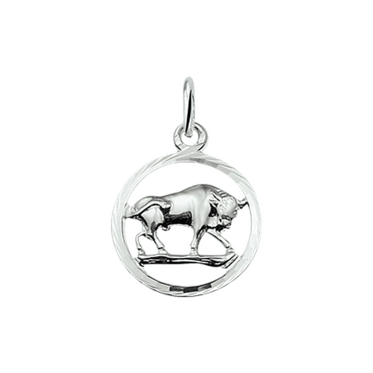 hanger sterrenbeeld gediamanteerd zilver wit