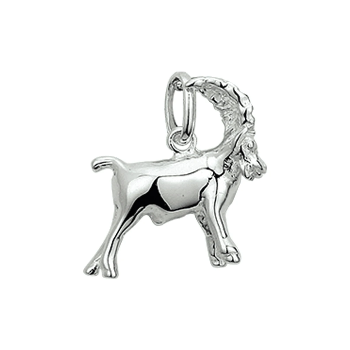 hanger sterrenbeeld zilver wit
