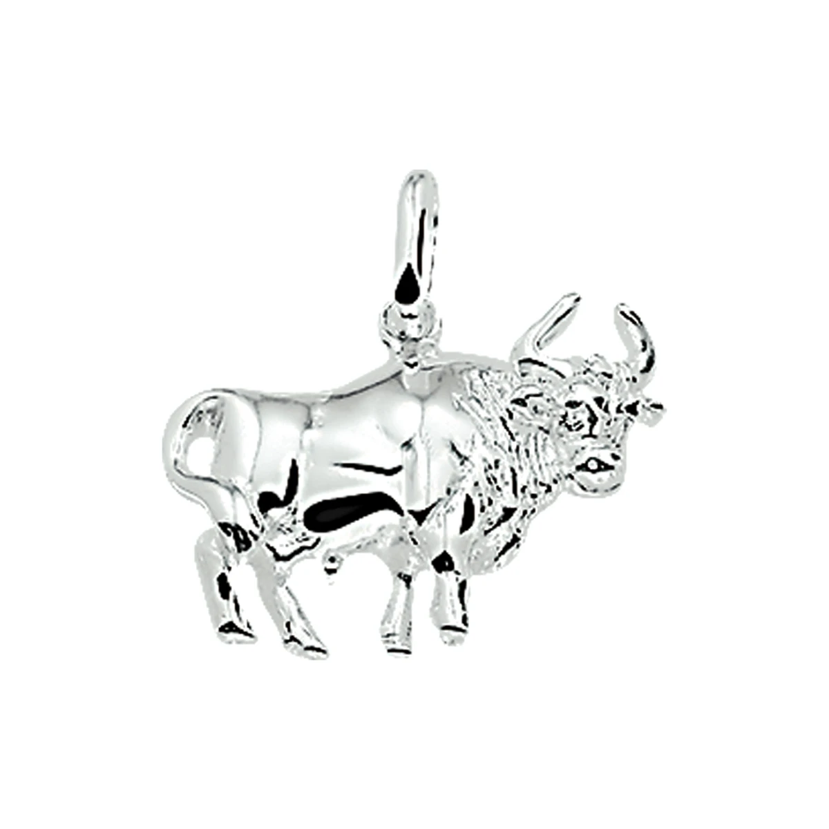 hanger sterrenbeeld zilver wit
