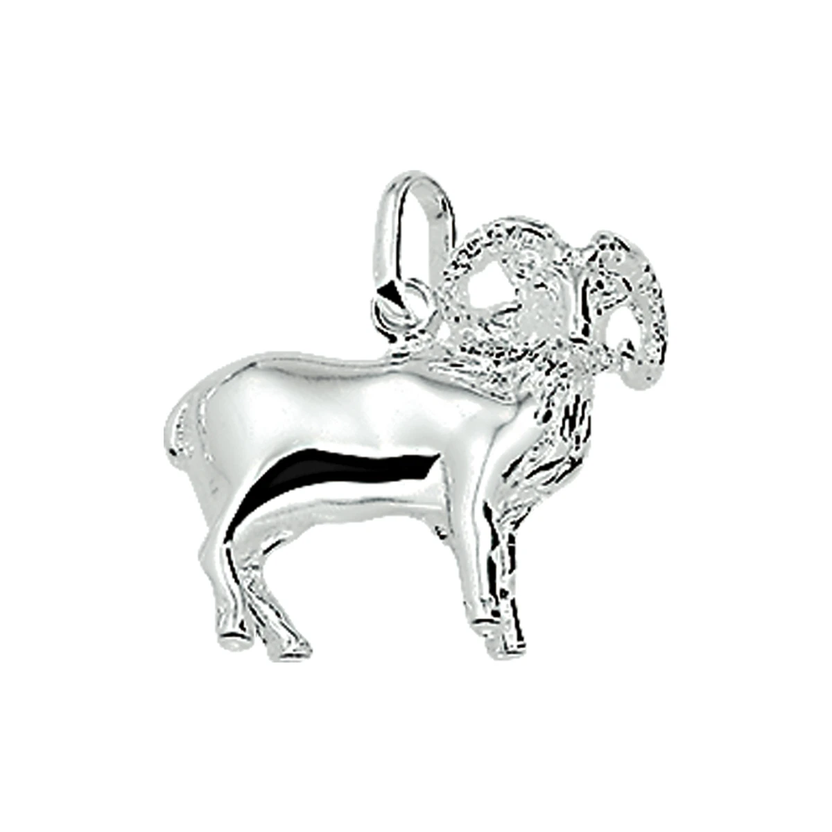 hanger sterrenbeeld zilver wit