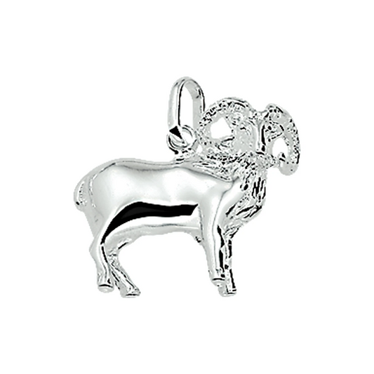 hanger sterrenbeeld zilver wit